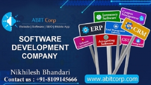 Software Development Company in Indore